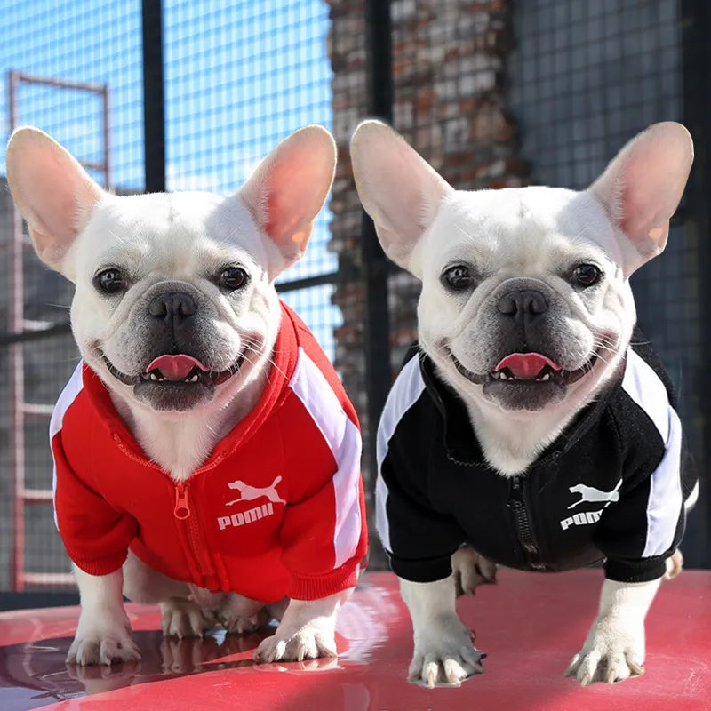 Baseball Dog Jacket Winter Dog Clothes for Small Medium Dogs Puppy Pet Vest French Bulldog Sweatshirt Chihuahua Costume Pug Coat